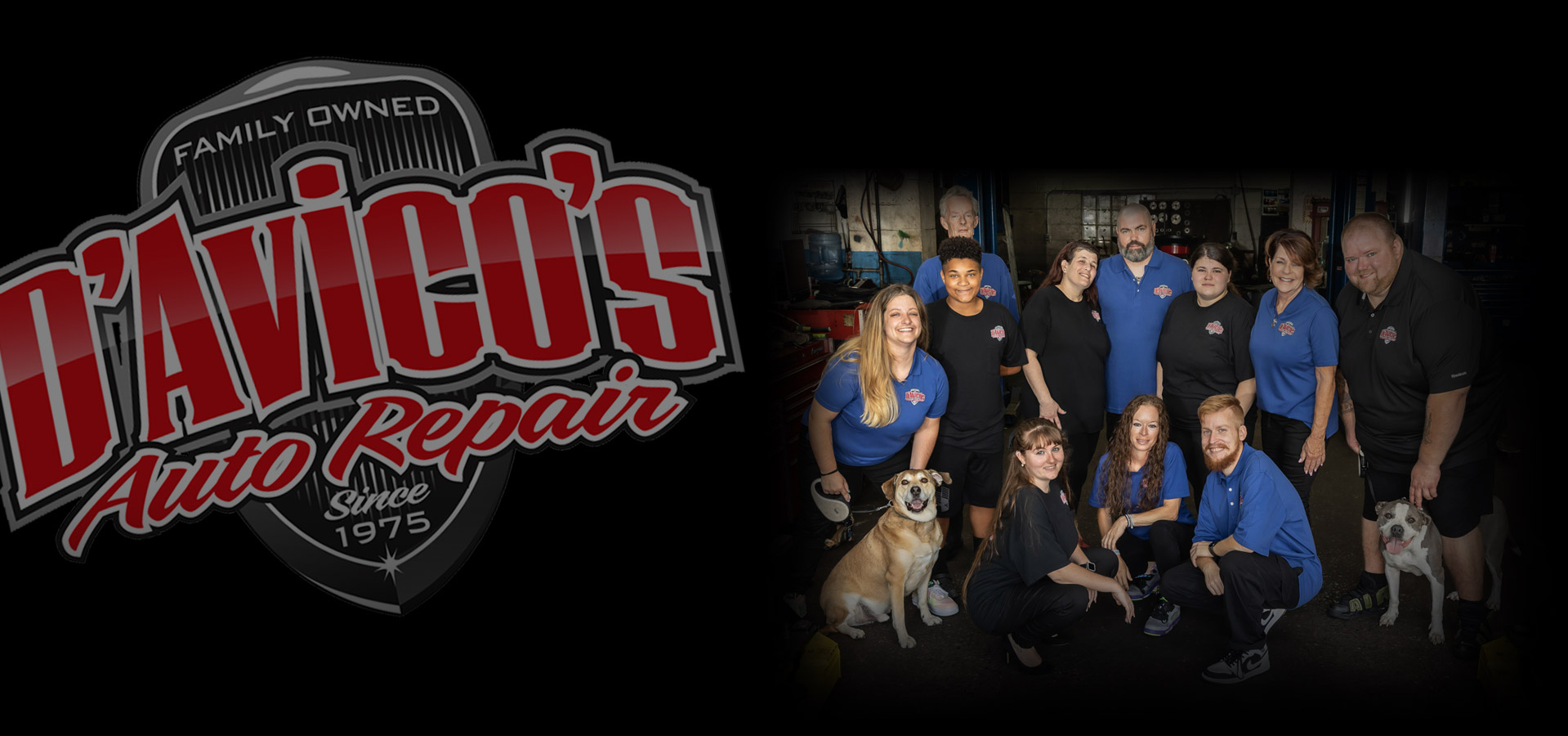 D'Avico's Auto Repair Auto Repair Wayne PA Car Mechanic